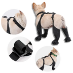 Waterproof Dog Suspenders Boots