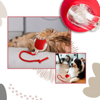 Smart Interactive Cats Ball Toy