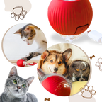 Smart Interactive Cats Ball Toy