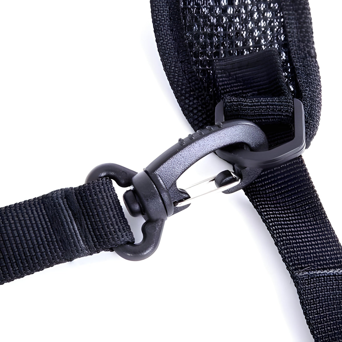 Dual Camera Chest Harness System