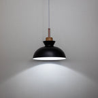 Modern Single Pendant Dome Light | Scandinavian Metal Hanging Lamp