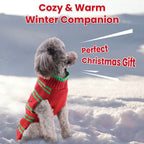 Pet Christmas Turtleneck Sweater