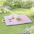Pet Cooling Mat Dog Cat Breathable Foldable Portable