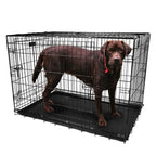 Pet Crates Folding Metal - Assorted Sizes