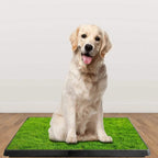 Pet Loo Portable Indoor/Outdoor Pet Potty