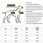 Pet Sweatshirt Hoodie With Pocket in the Back for Small Dogs