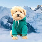 Pet Sweatshirt Hoodie With Pocket in the Back for Small Dogs