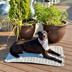 Portable Air Conditioner Cooling Mat Dogs