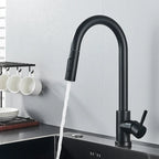 Practical and Elegant Kitchen Faucet with Pull-Out Function