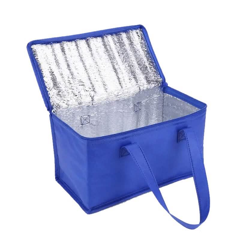 Premium Insulated Cooler Bag