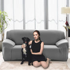 Printed Stretch Sofa Cover