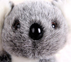 Adorable koala Plush