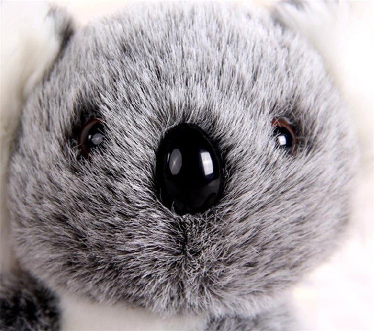 Adorable koala Plush