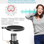 Professional Condenser Studio Recording Microphone