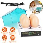 Professional Poultry Hatcher with Digital Display Automatic Temperature Humidity