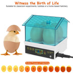Professional Poultry Hatcher with Digital Display Automatic Temperature Humidity
