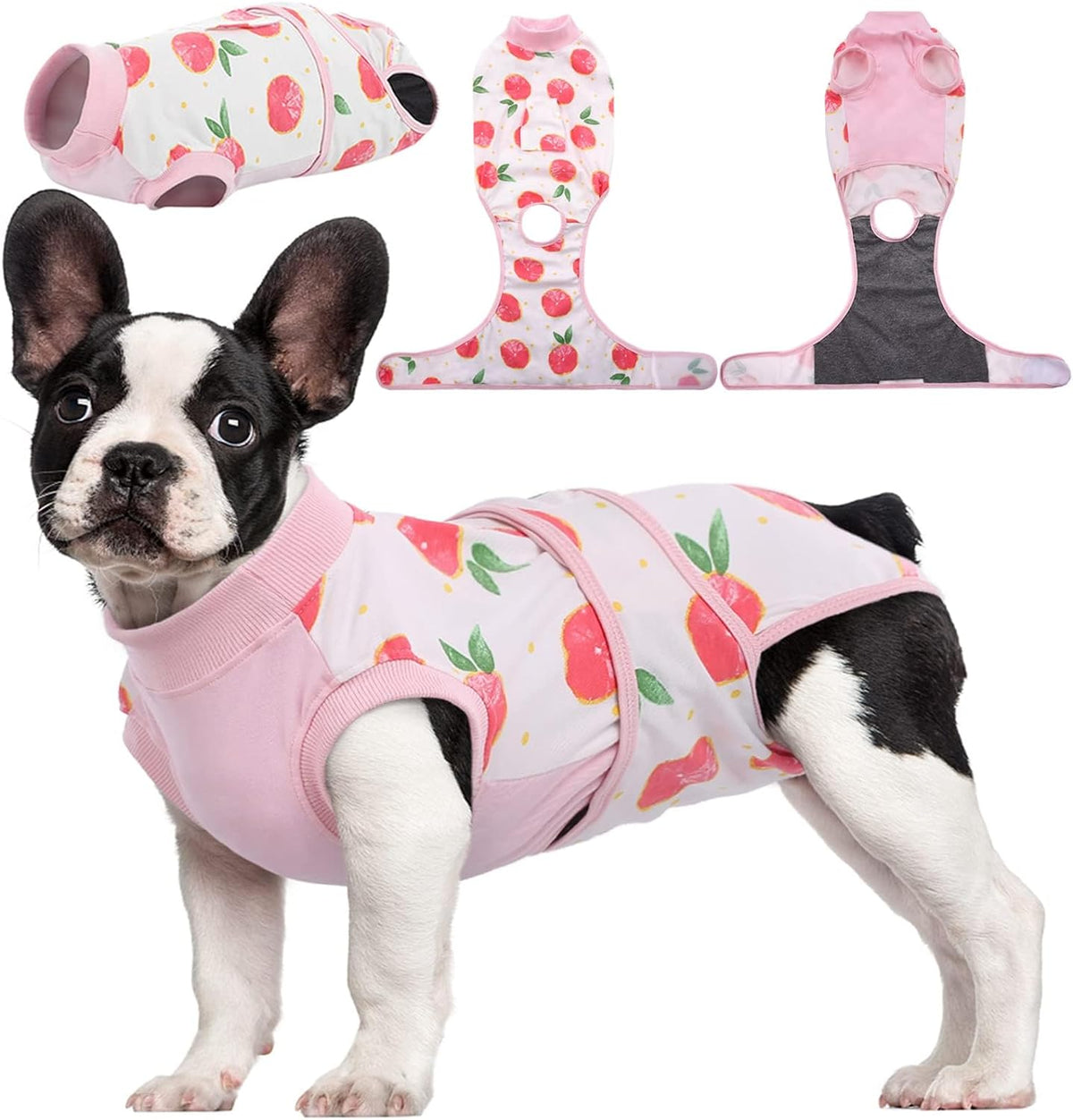 Pet Post-Surgery Healing Garment