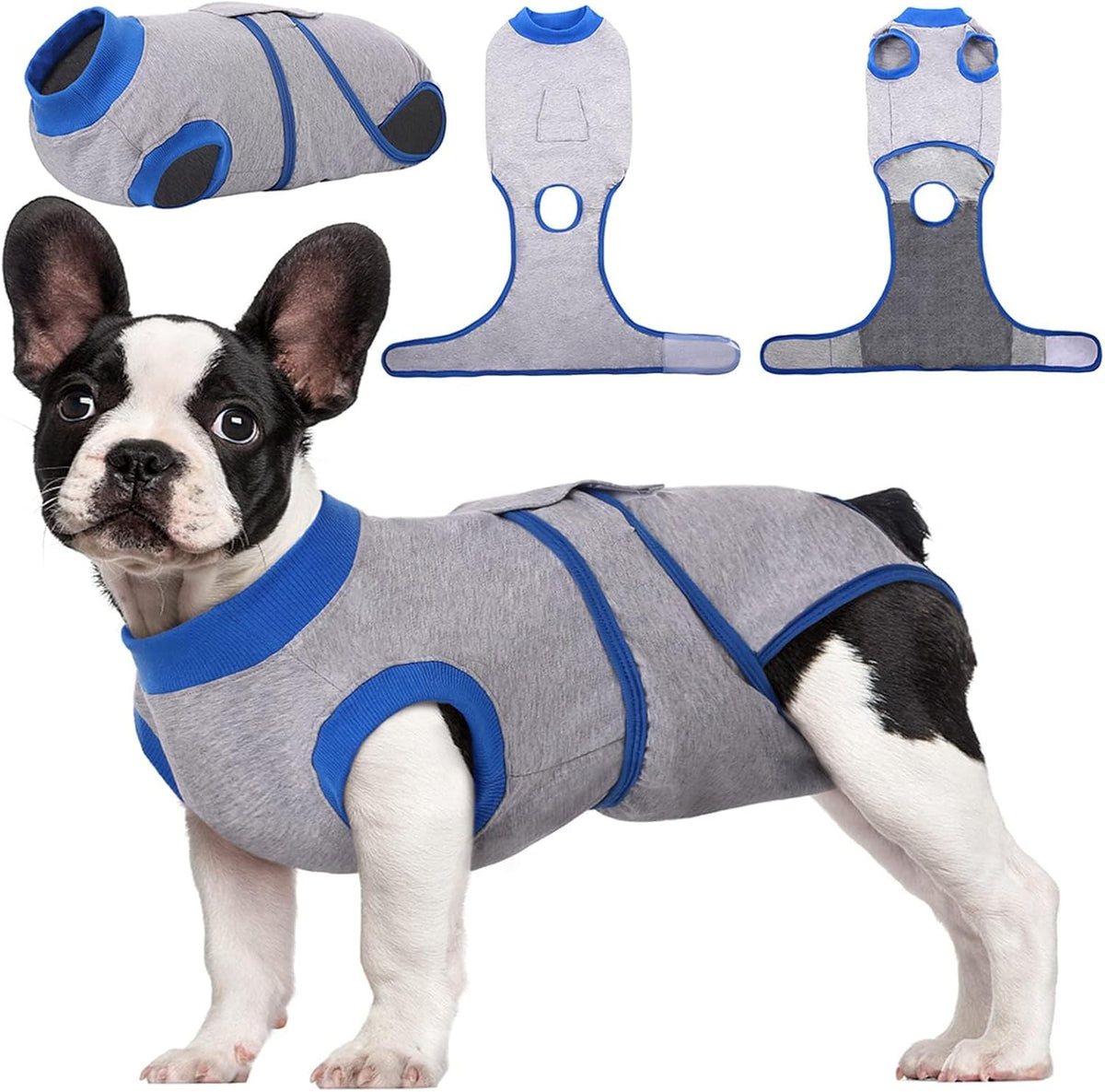 Pet Post-Surgery Healing Garment