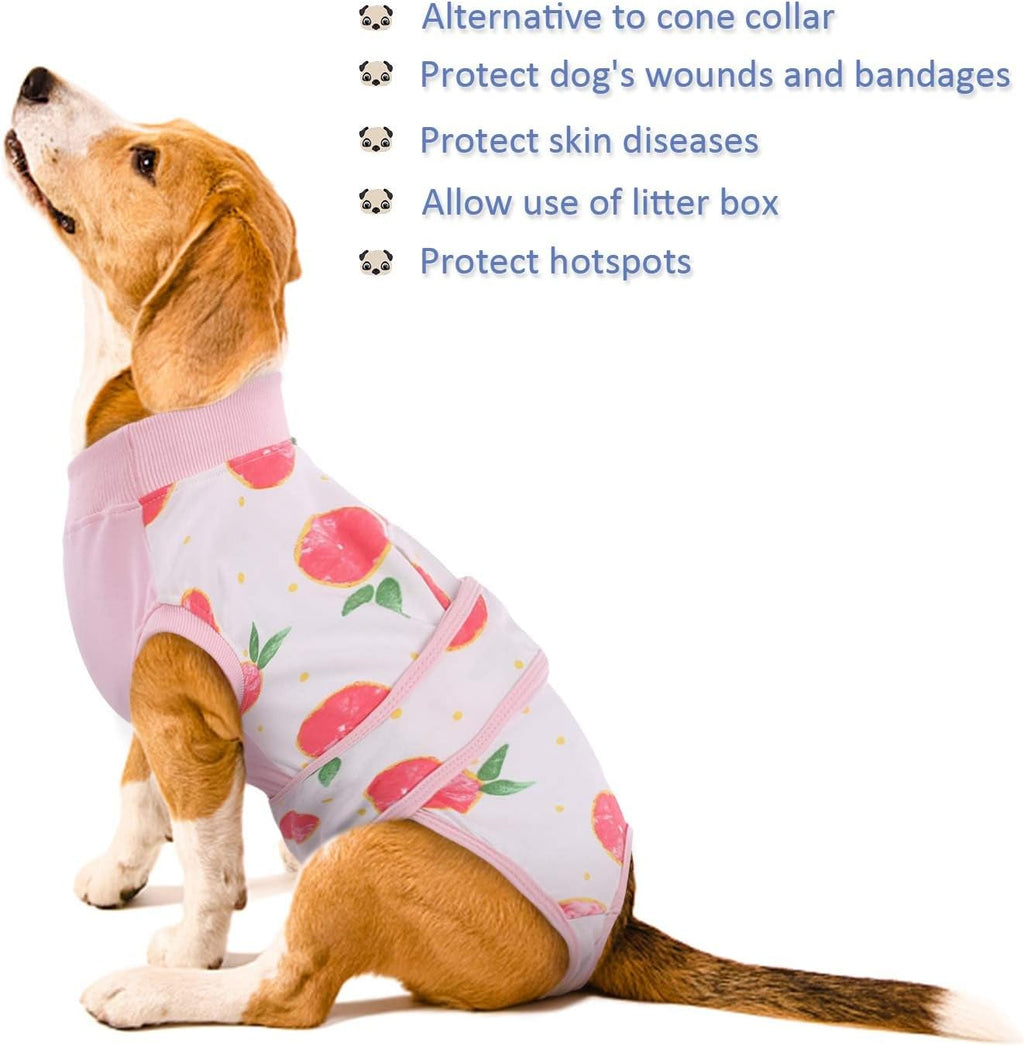 Pet Post-Surgery Healing Garment