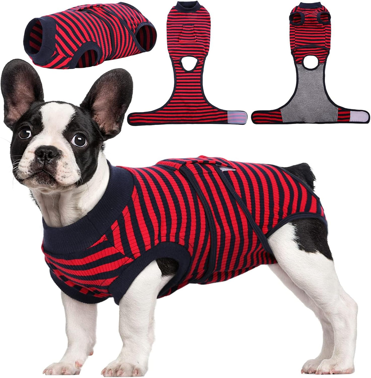 Pet Post-Surgery Healing Garment