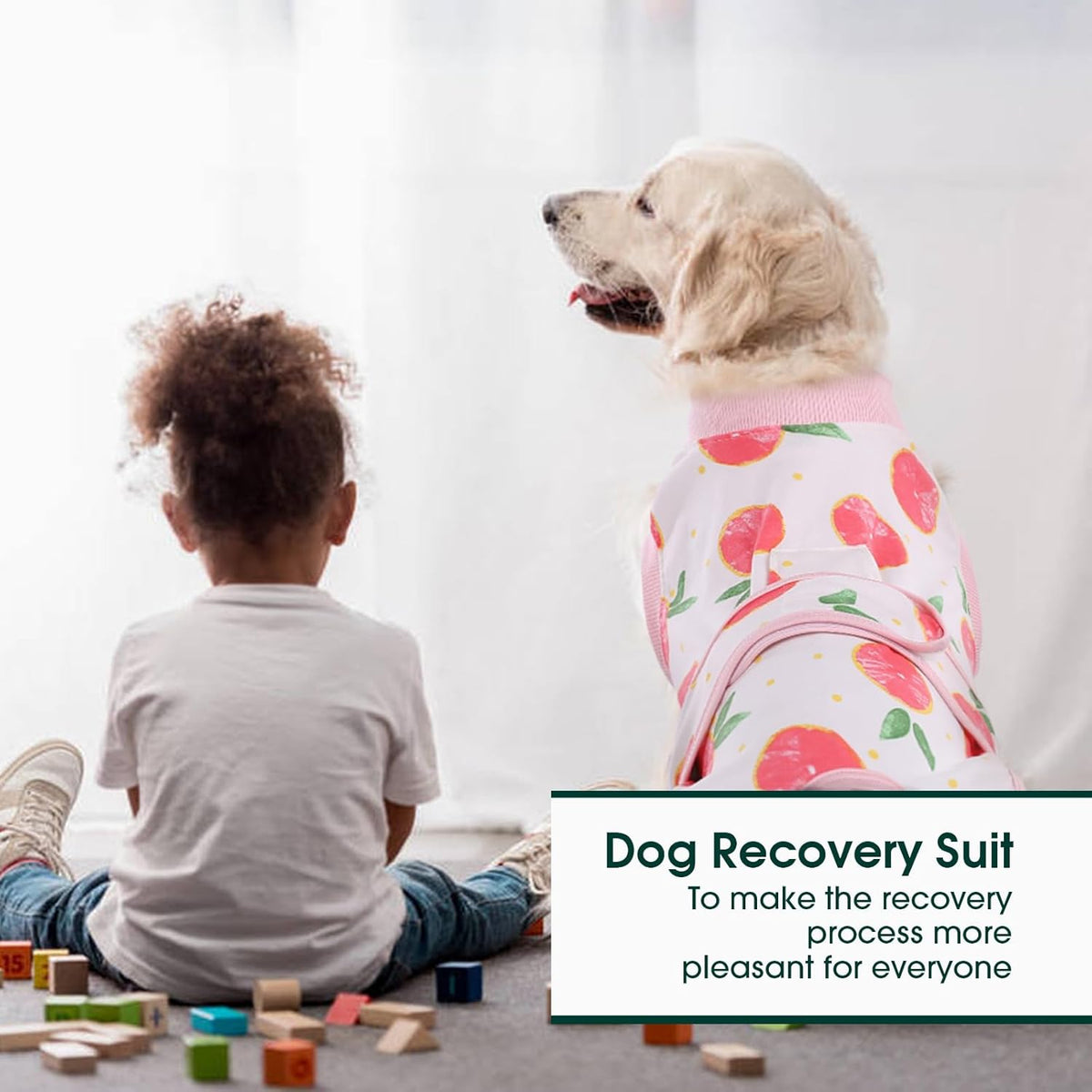 Pet Post-Surgery Healing Garment