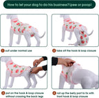 Pet Post-Surgery Healing Garment