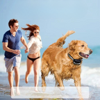 Rechargeable IP67 Waterproof Dog Training Collar with 1000m Range and 3 Modes