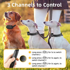Rechargeable Waterproof Dog Training Collar with Remote