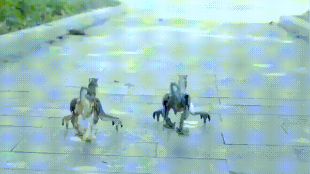 Remote Control Dinosaur