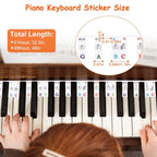 Removable PVC Piano Keyboard Stickers