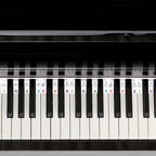 Removable PVC Piano Keyboard Stickers