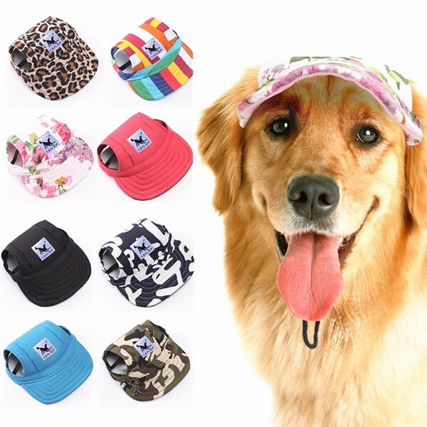 Round Edge Dog Hat