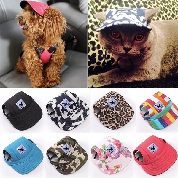 Round Edge Dog Hat