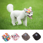 Round Edge Dog Hat