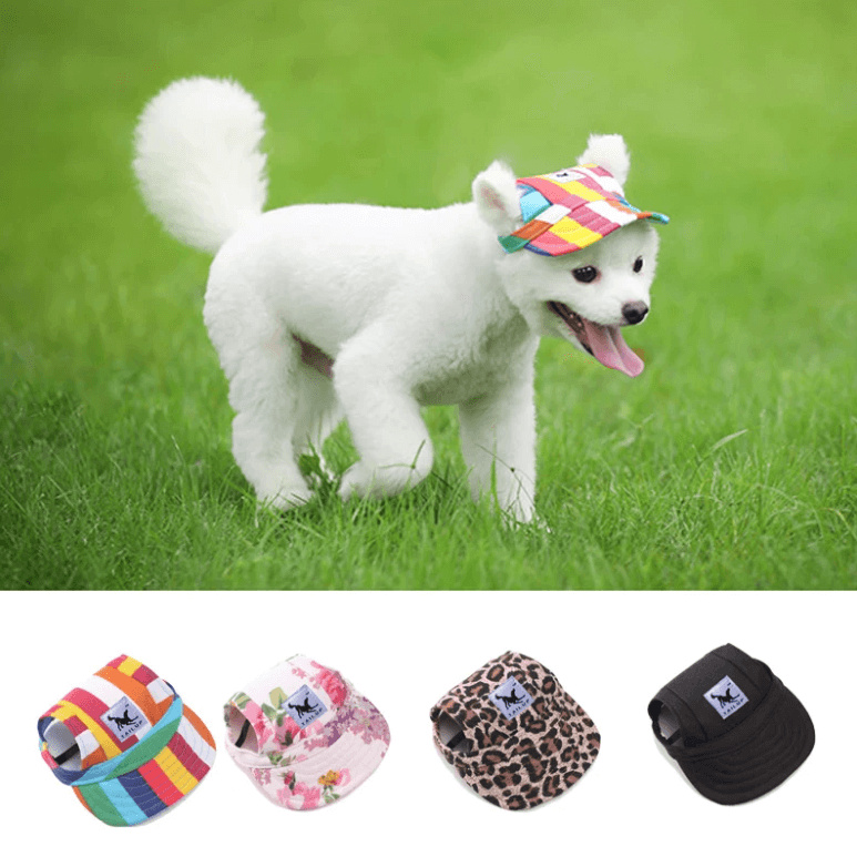 Round Edge Dog Hat