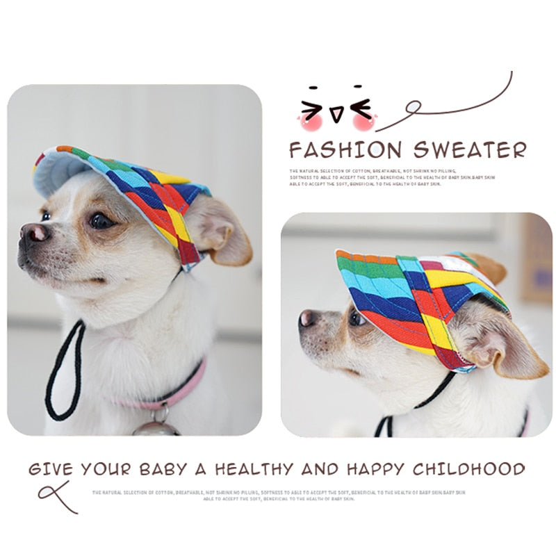 Round Edge Dog Hat