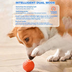 Active Rolling Ball Anti-Anxiety Automatic Moving Ball