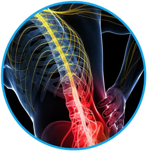 Sciatica Relief Belt for Back & Hip Pain