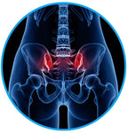 Sciatica Relief Belt for Back & Hip Pain