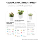 Smart Plant Pot Ivy - Innovative Plant Care