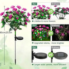Solar-Powered Camellia Tree Lights