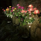 Solar-Powered Camellia Tree Lights