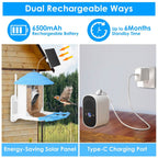 Solar Powered Smart Bird Feeder with PIR Motion AI Two-Way Audio