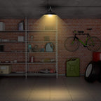 Solar Shed Light Sensor Hanging Lamp