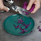 Stainless Steel Multifunctional Kitchen Scissors