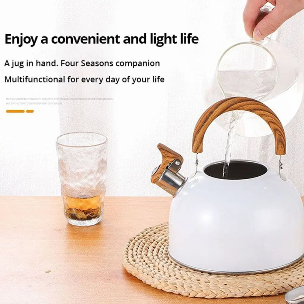 Steel Kettle with Whistle Indicator