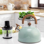 Steel Kettle with Whistle Indicator