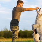 Dog Training Treat Bag • Quick Access Pouch