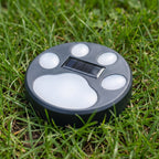 Solar-Powered Paw Print Garden Lights, 3-Pack