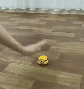 Pet Escape Toy